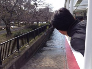 ドキドキ